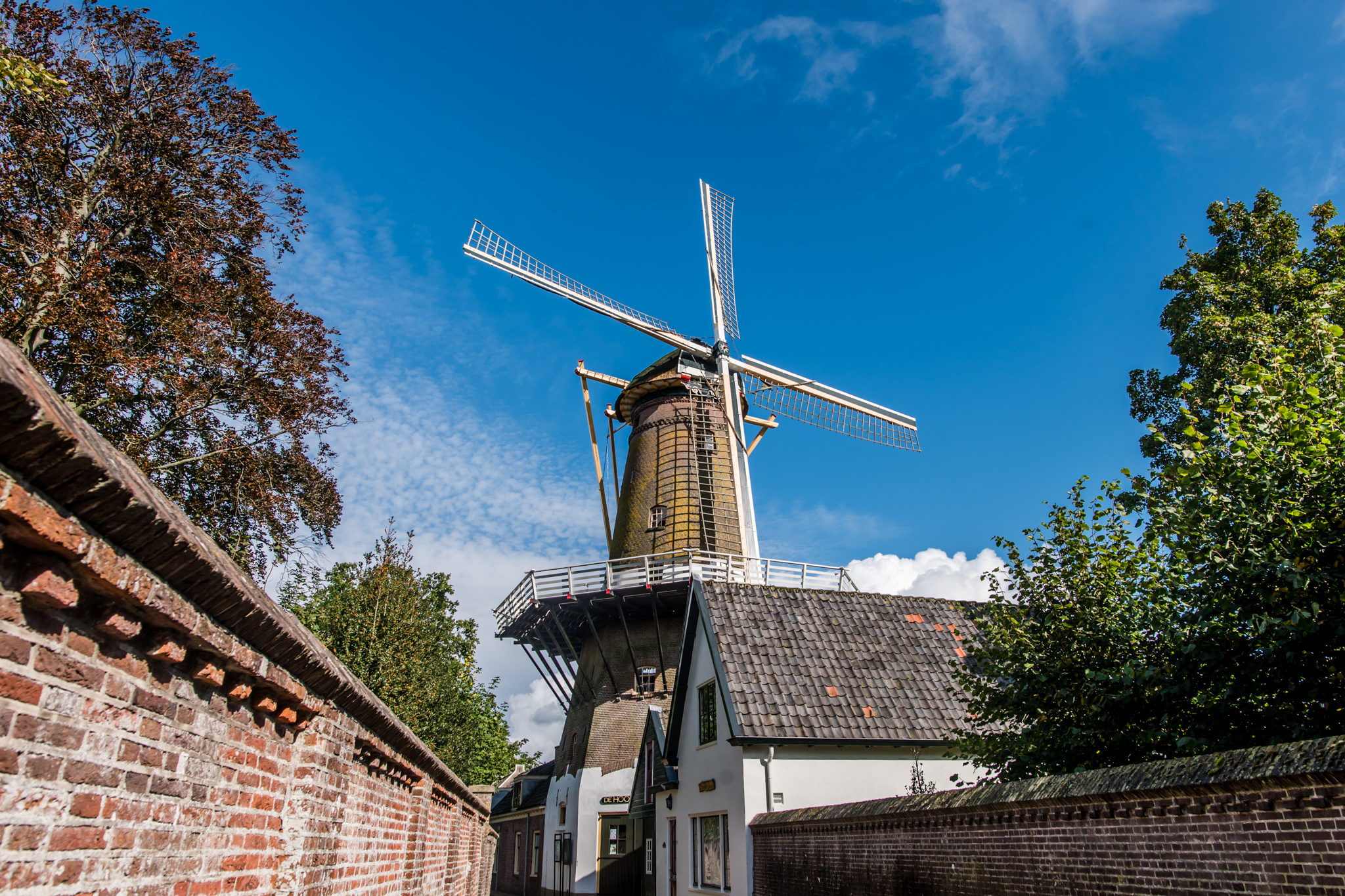 Windmolen 'De Hoop'. De wieken reiken tot aan de stelling.